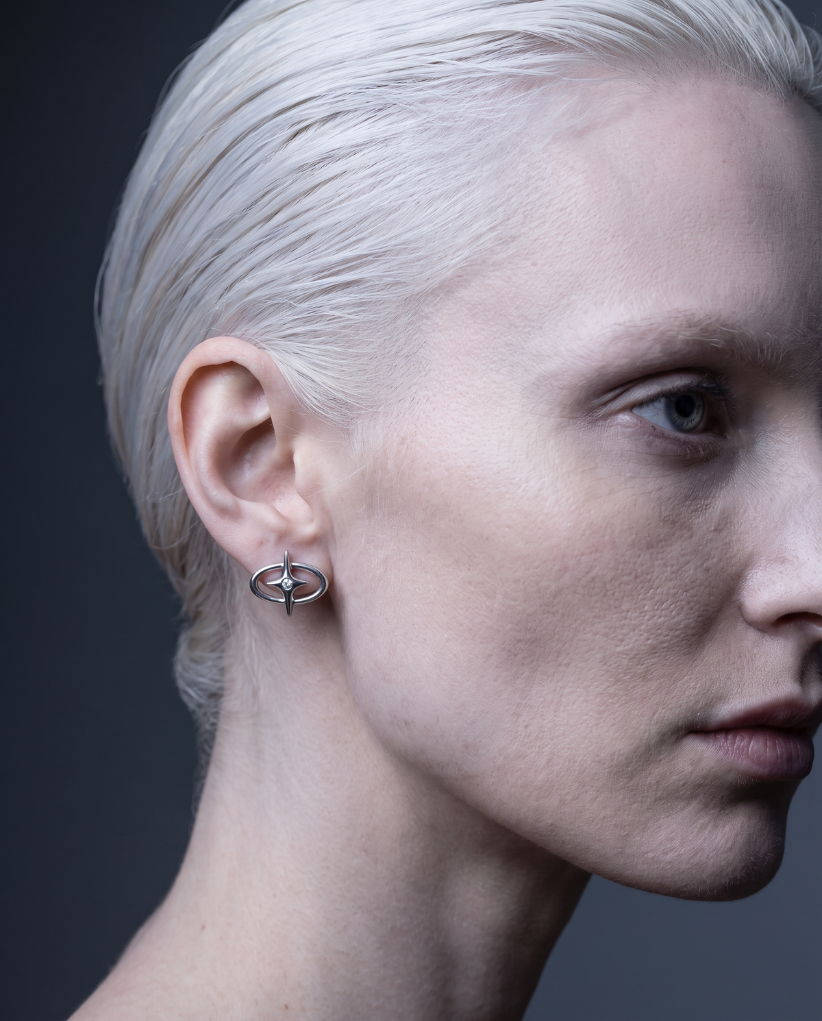 / Orbit / Zircon Center Earrings Stainless Steel