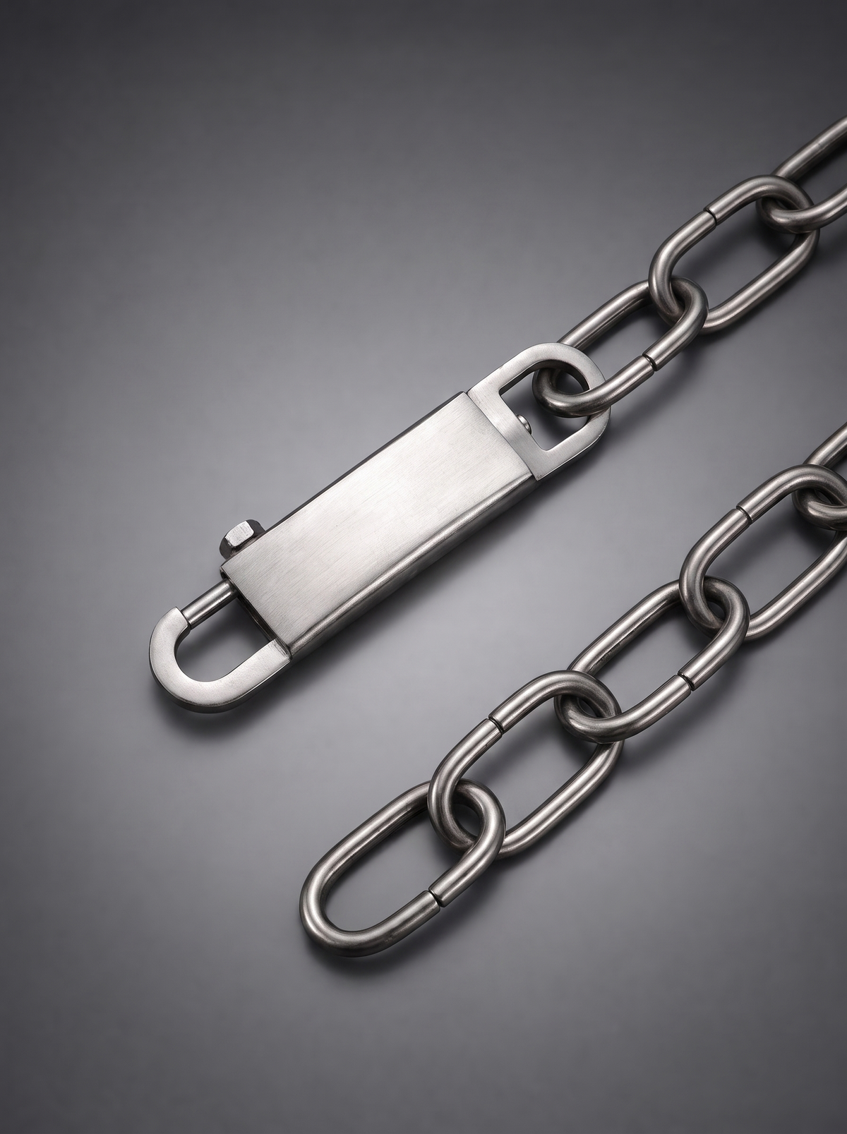 / Latch / Thick Chain Stainless Steel
